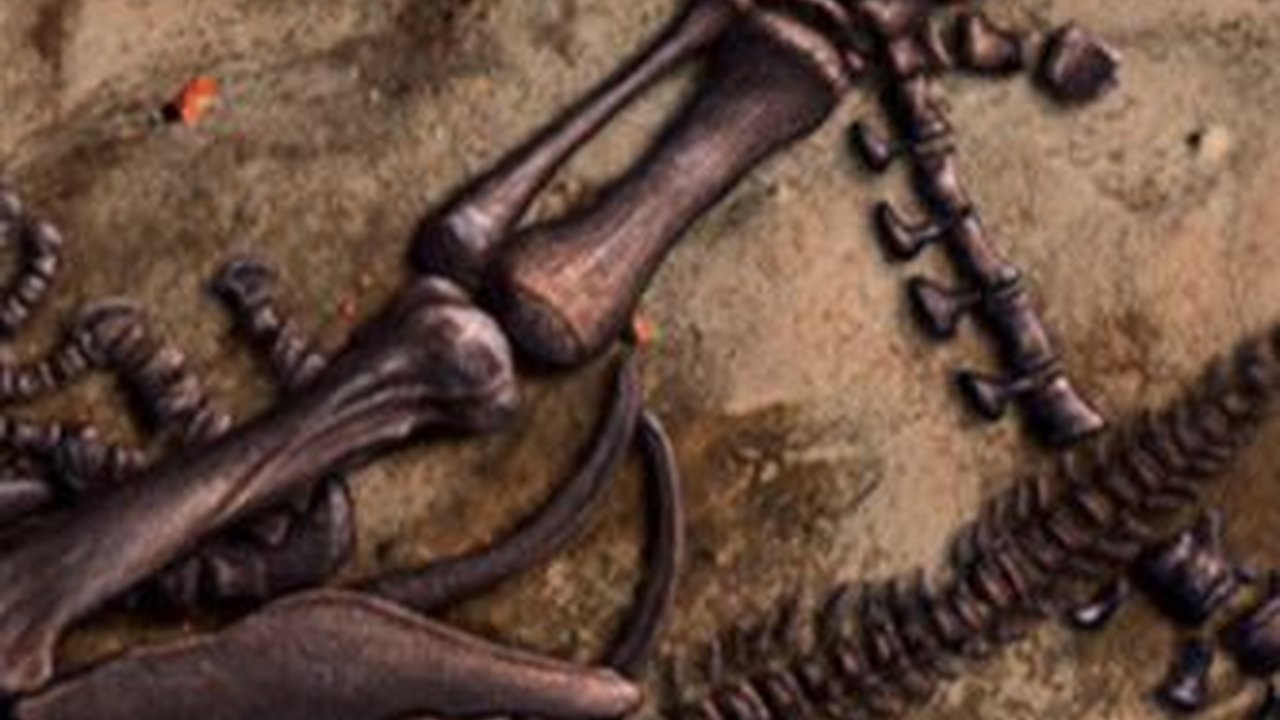 8 Fosil Dinosaurus Paling Utuh yang Pernah Ditemukan dalam Sejarah