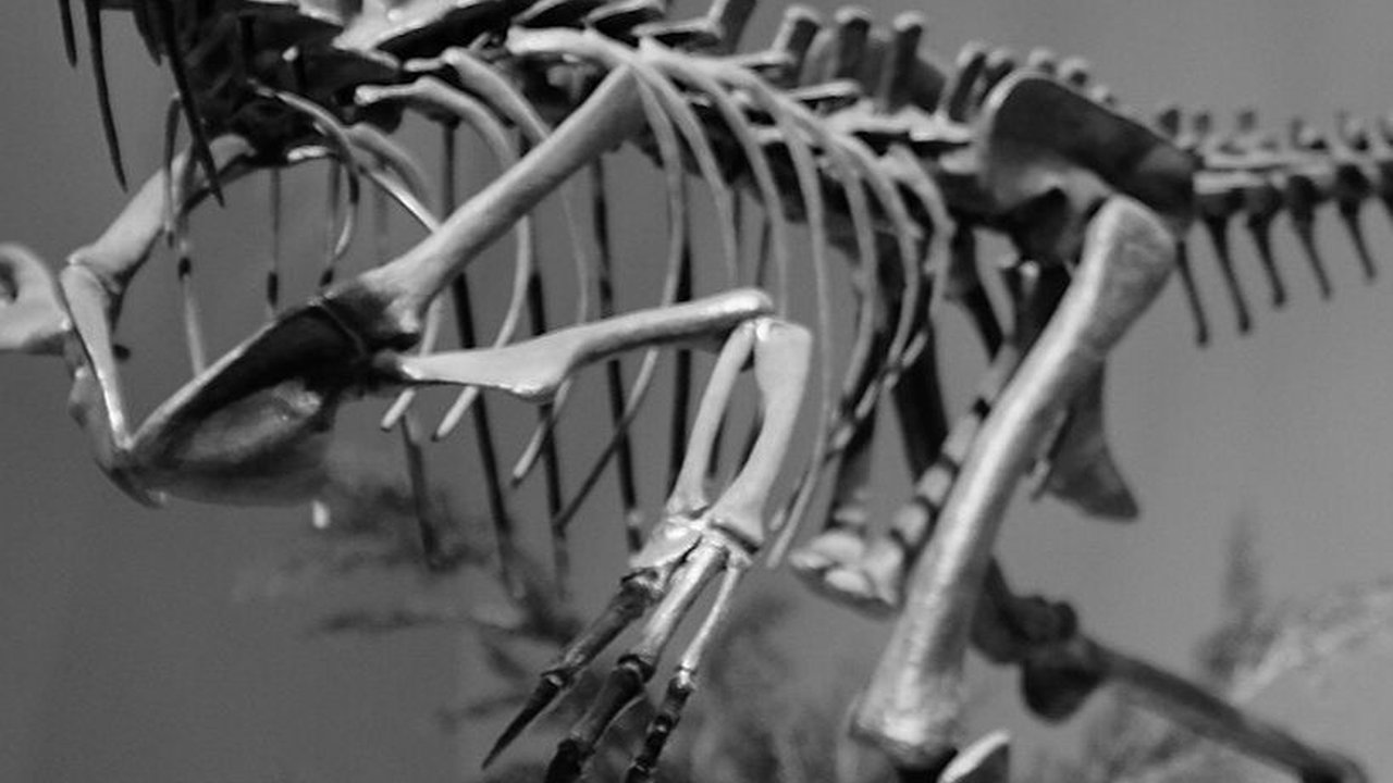 10 Penemuan Dinosaurus Paling Heboh Sepanjang 2023, Ada yang Menguak Makanan Terakhirnya
