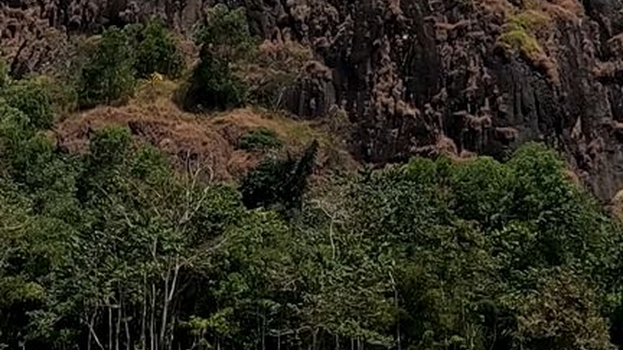 Kisah Gunung Wayang di Garut, Bentuknya Mirip Bongkahan Besar dan Kerap Terdengar Suara Gamelan