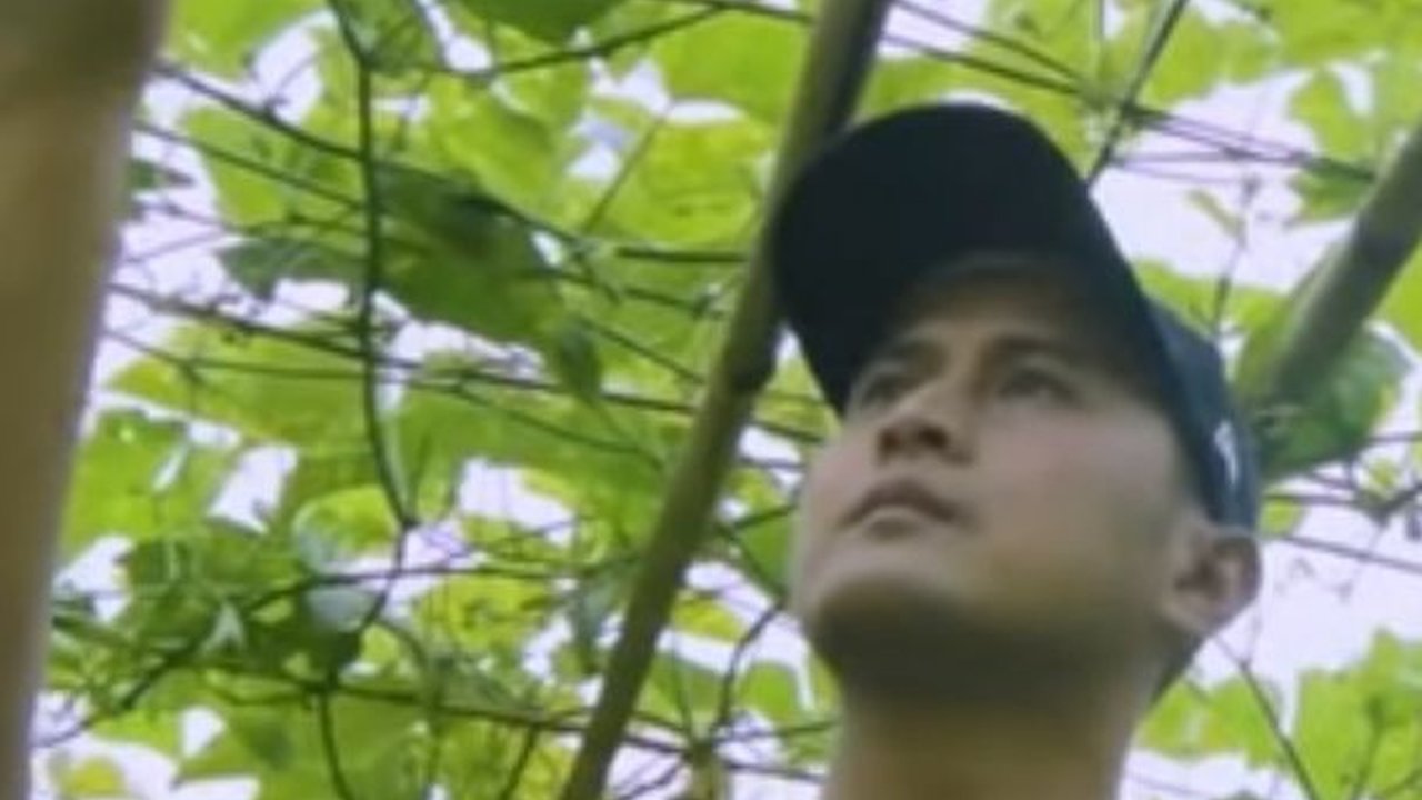 Perjalanan Dedi Koswara, Petani dan Sopir Angkut Sayuran yang Sukses Bangun Rumah Mewah di Bandung