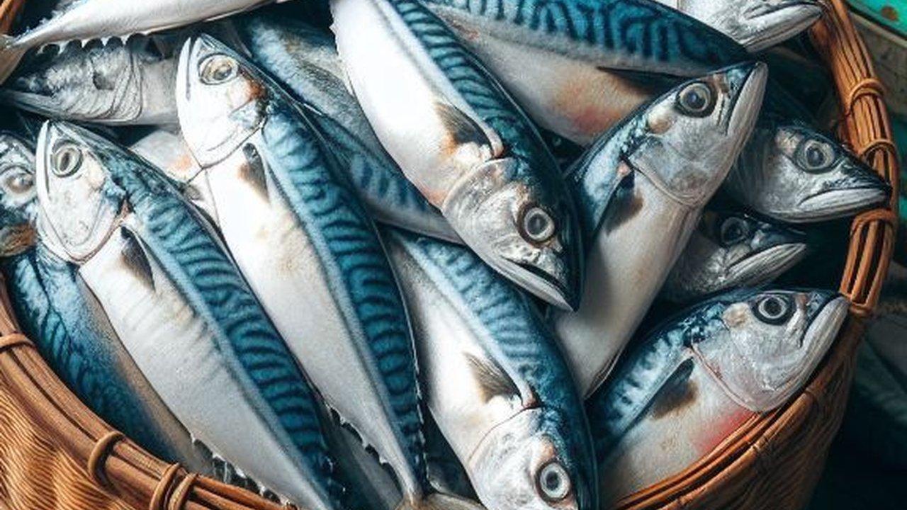 Lebih Sehat dari Salmon, Ini 7 Manfaat Kesehatan Ikan Kembung