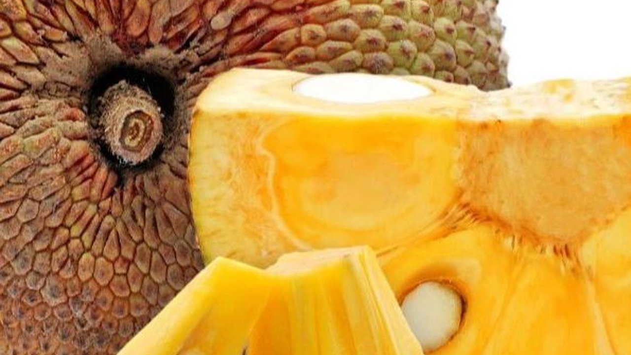 Resep Nangka Matang yang Enak dan Legit, Mudah Dibuat