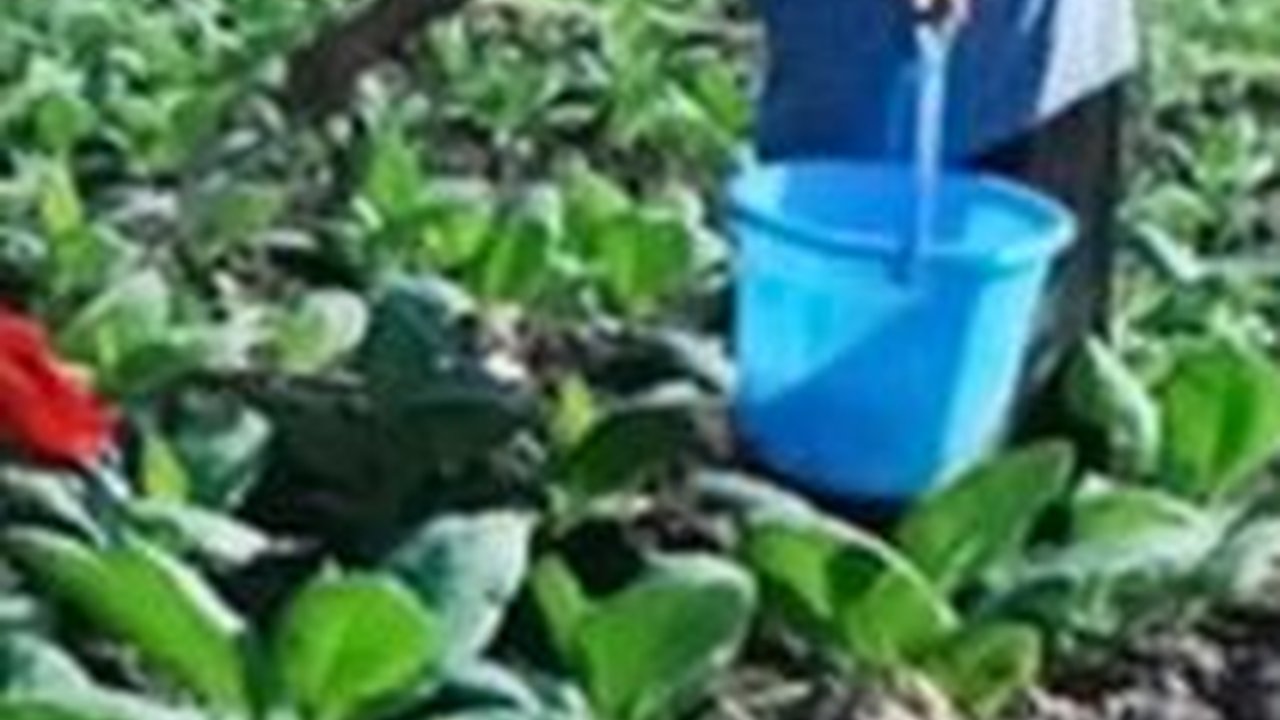 Data Kemenperin: Industri Hasil Tembakau Serap 5,9 Juta Tenaga Kerja, Setor Cukai Rp218 Triliun