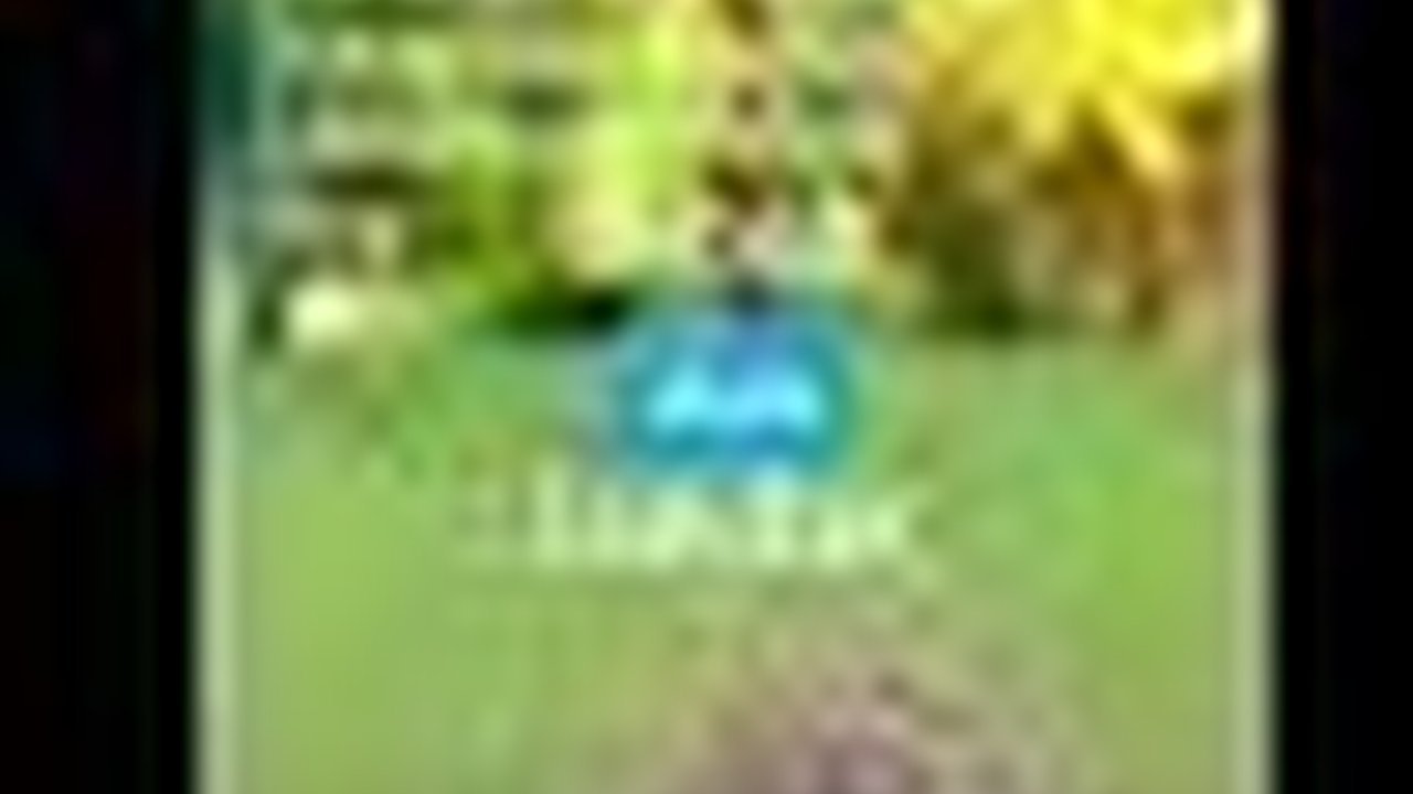 VIDEO: Robot Kecil Ini Berpatroli Basmi Rumput Liar di Kebun