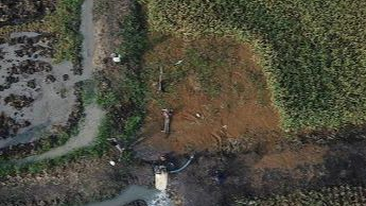 Panglima TNI Minta Prajuritnya Dampingi Petani Wujudkan Swasembada