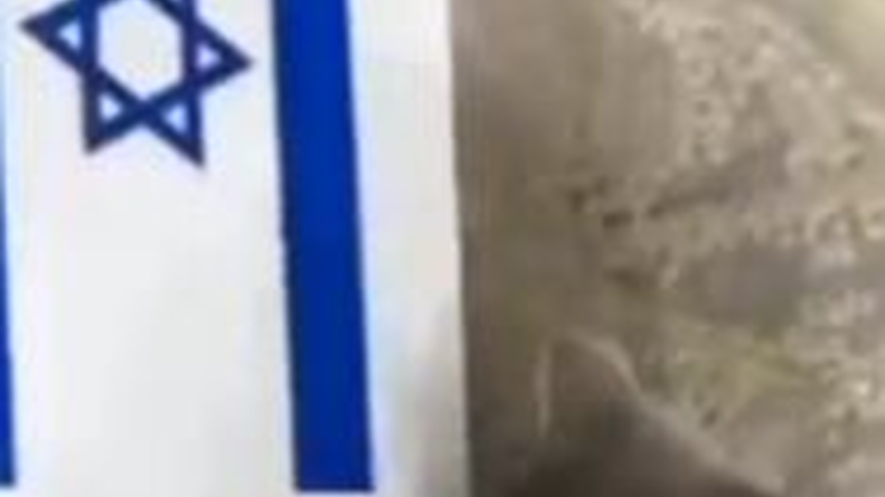 Kumpulan Aksi Burung hingga Kucing Robek & Turunkan Bendera Israel, 'Bahkan Hewan pun Anti Zionis'