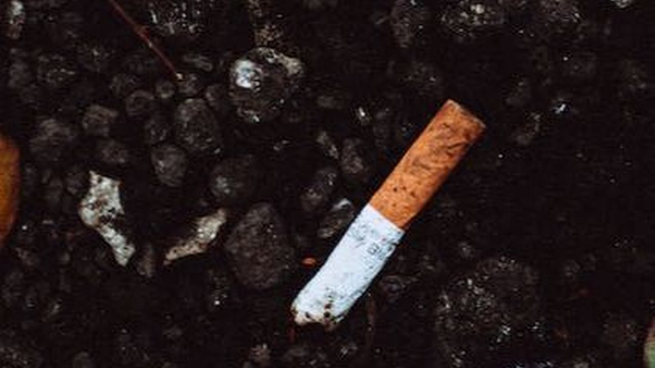 Viral Polisi Pergoki Pengendara Mobil Buang Puntung Rokok Sembarangan, Langsung Disuruh Turun