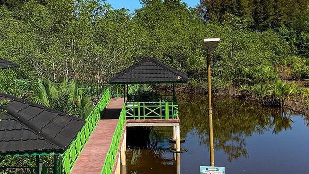 Punya Sekolah Tinggi Ilmu Beruk, Intip Fakta Unik Desa Wisata Apar di Pariaman