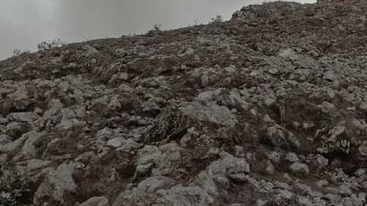 Erupsi Gunung Marapi: Kondisi Jenazah Mayoritas Luka Bakar, Terindentifikasi Lewat Sidik Jari