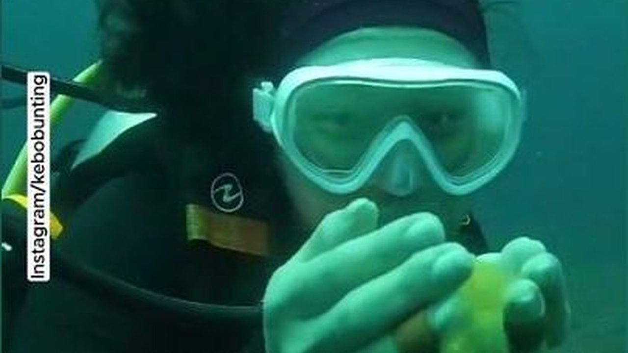 VIDEO: Isi Telur Ini Tak Berantakan saat Dipecahkan di Kedalaman 30 Meter