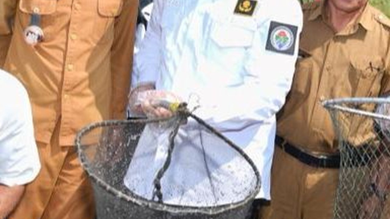 Kemendes PDTT Nilai Model Demplot Jadi Keunggulan Program TEKAD