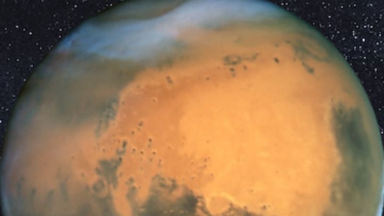 Ilmuwan Ungkap Tikus Bisa Hidup di Planet Mars, Temuan Ini Jadi Buktinya