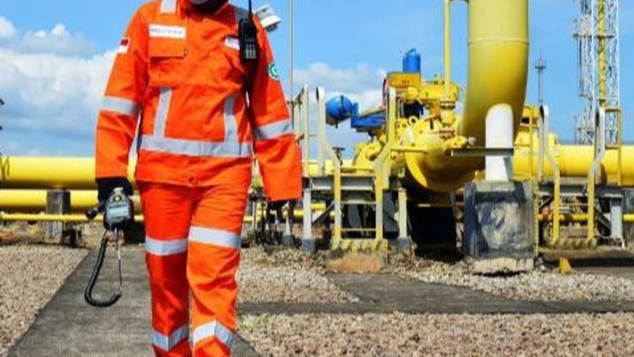Dewan Energi Nasional: Pembangunan Infrastruktur Gas Pertamina Perkuat Ketahanan Energi