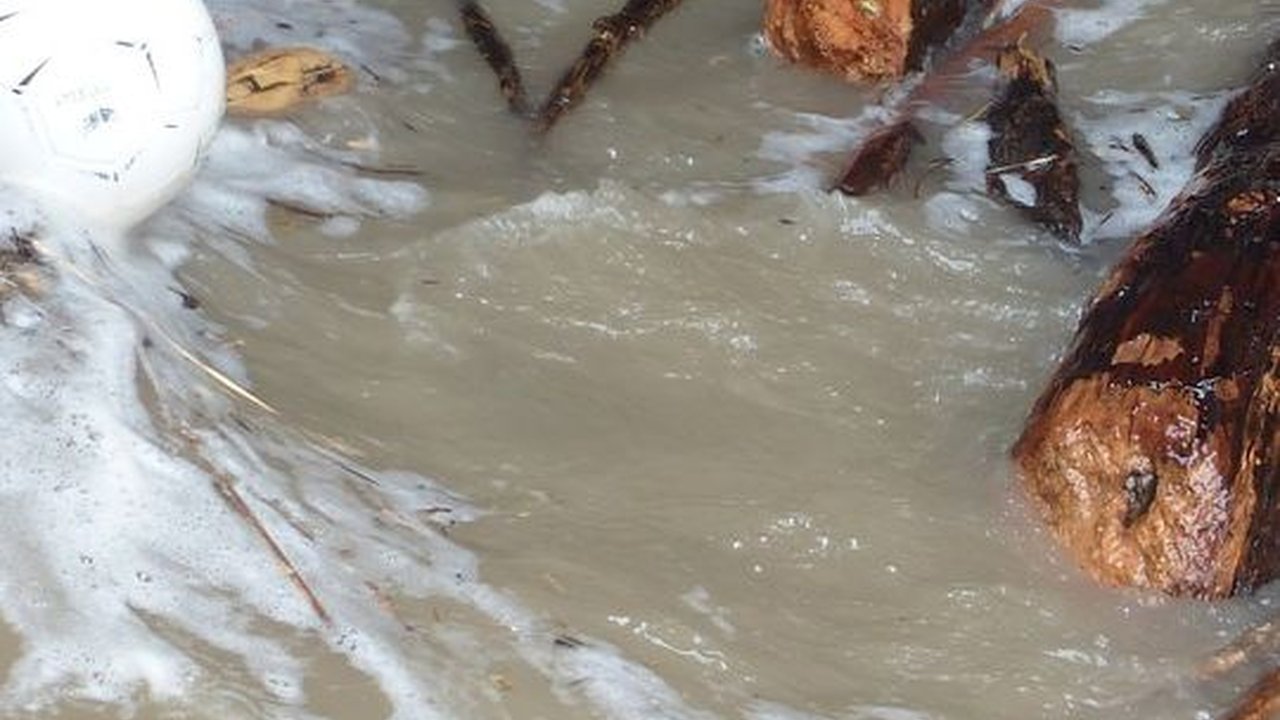 Viral Penampakan Gang di Surabaya Terkena Banjir, Aksi Pria Berenang Ini Curi Perhatian
