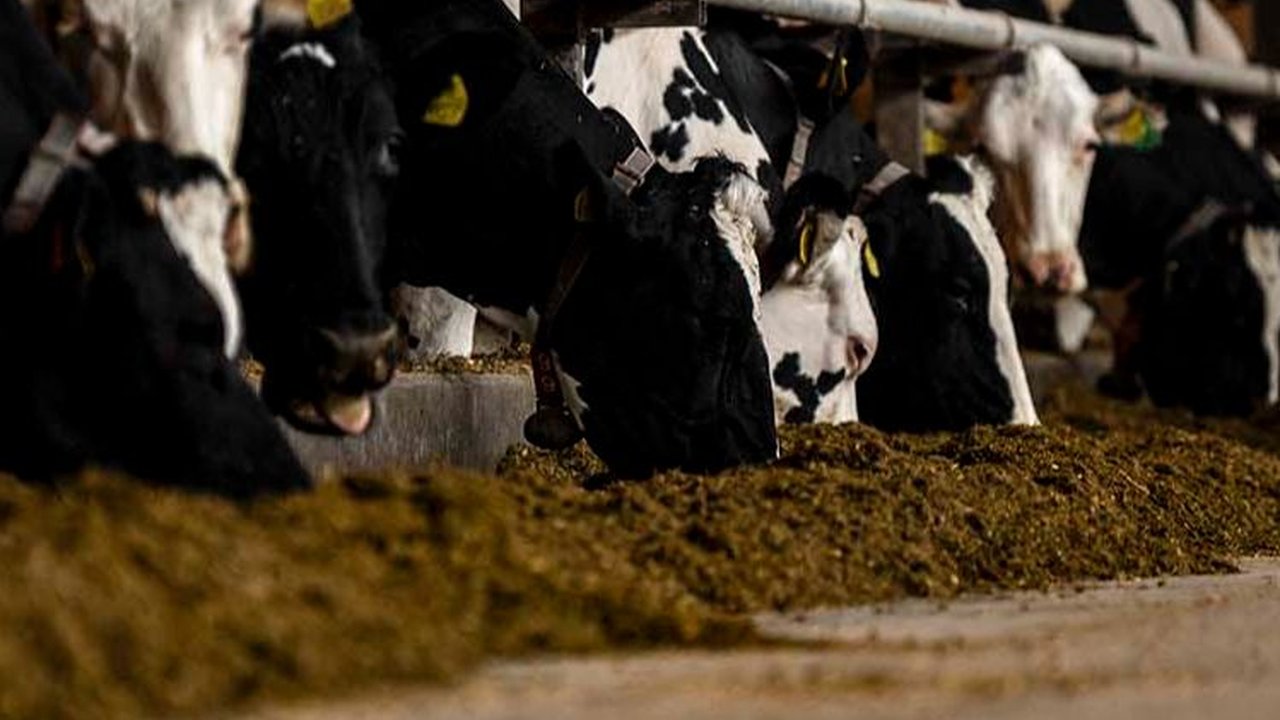 FOTO: Intip Proyek Ambisius Jepang Mau Pergi ke Bulan Pakai Roket Bertenaga Kotoran Sapi