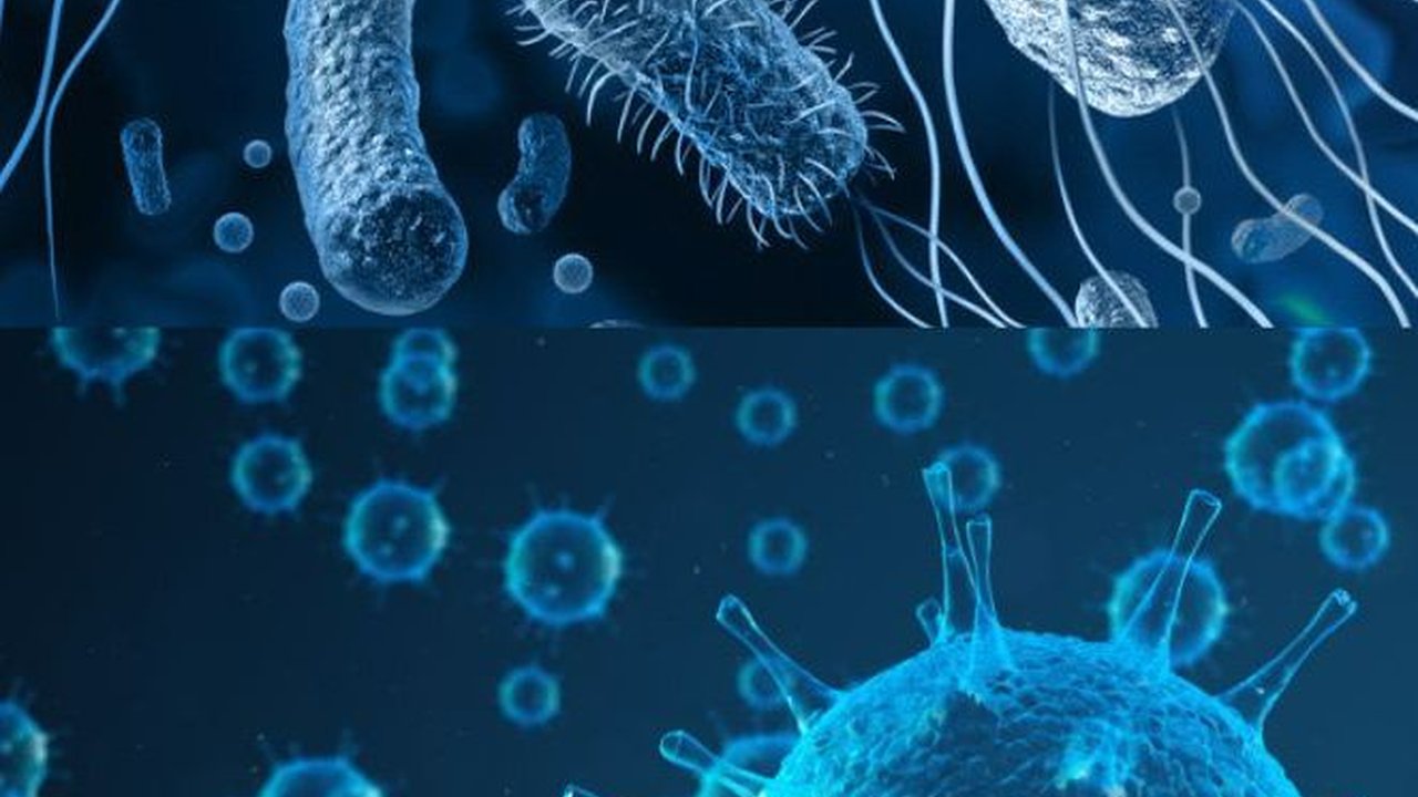 Bakteri vs Virus, Lebih Mematikan yang Mana?