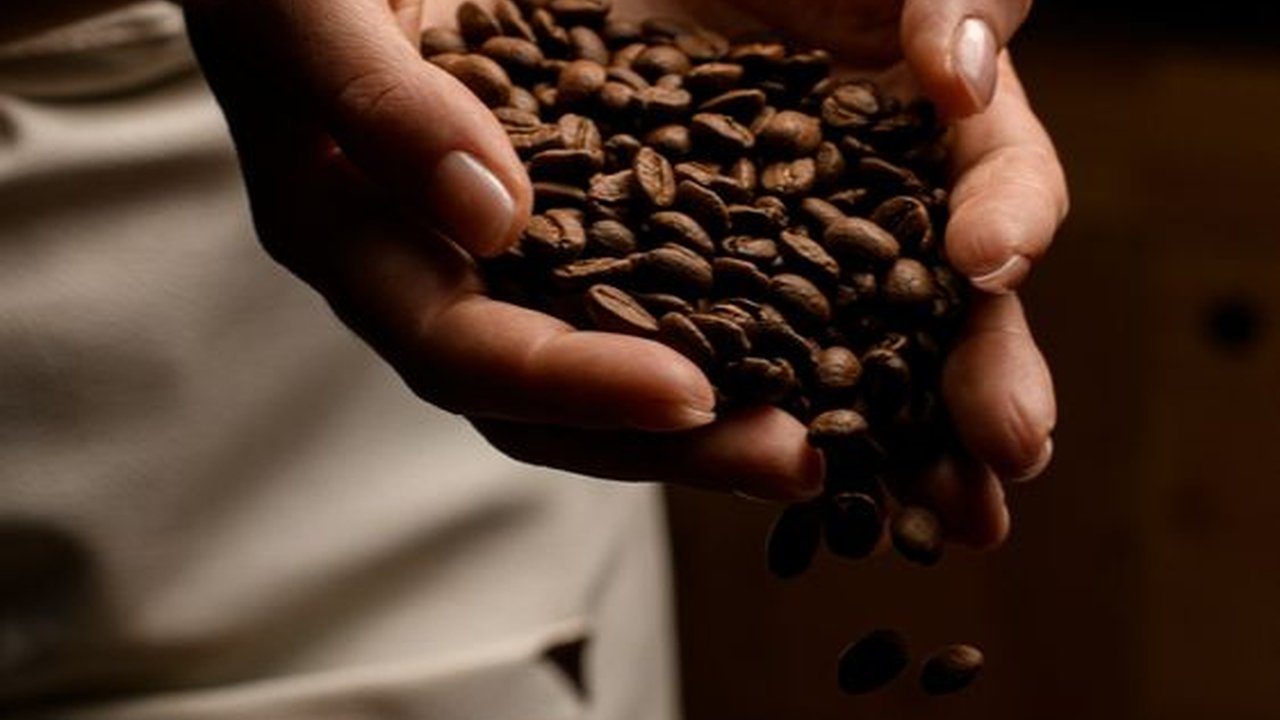 Sudah Ada Sejak Abad Ke-9, Ini Fakta Unik Kopi Arabika
