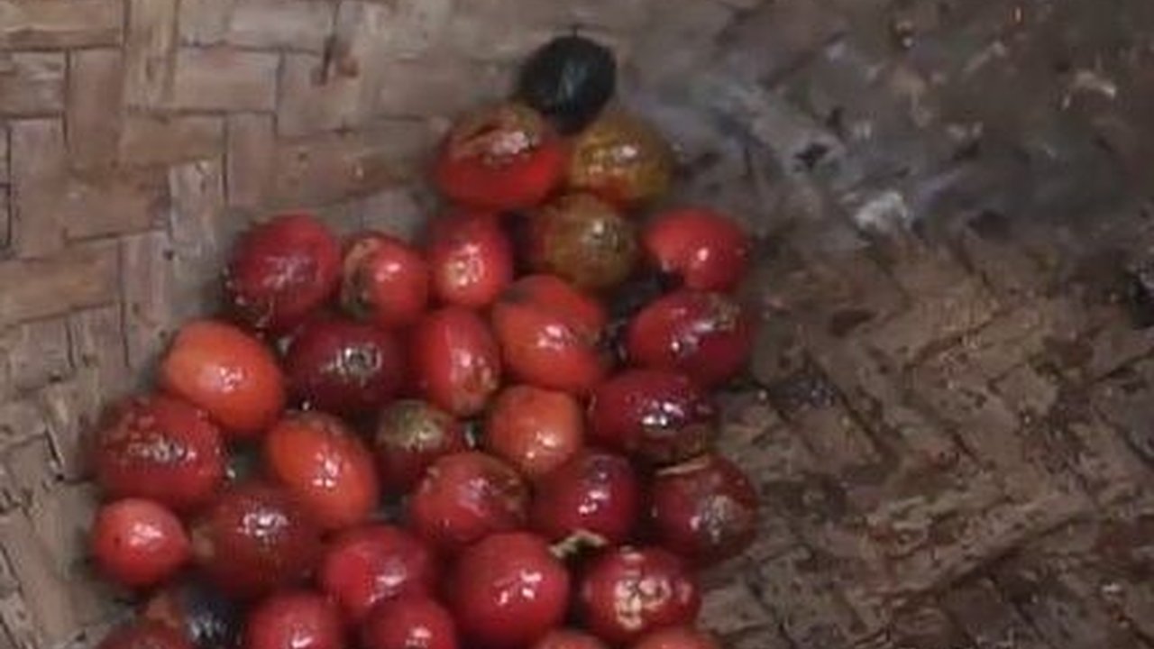 Mengenal Tiga Kopi Asli Batang, Nikmat dan Punya Makna Khusus