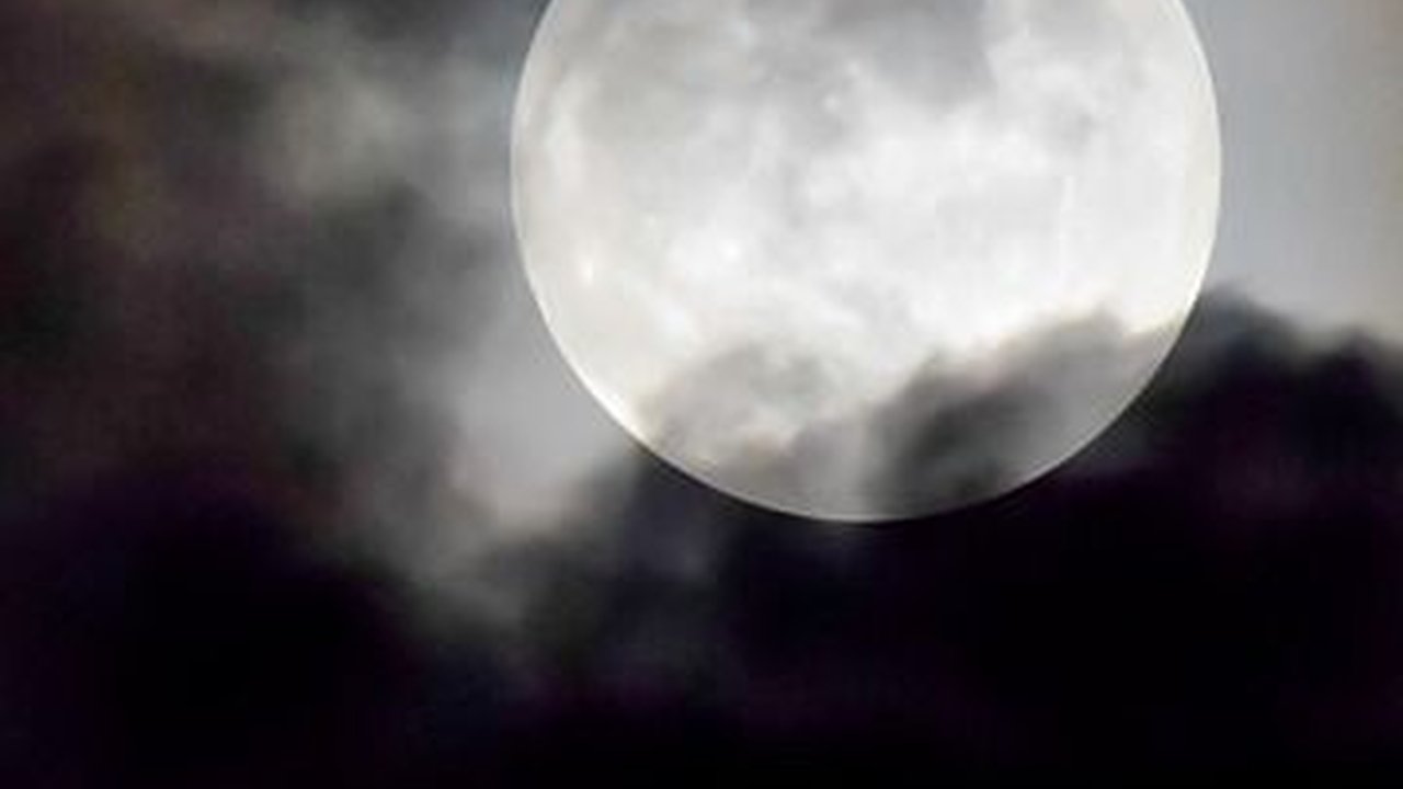 Idul Adha Hitung Mundur, Ini Tanggal Perayaannya