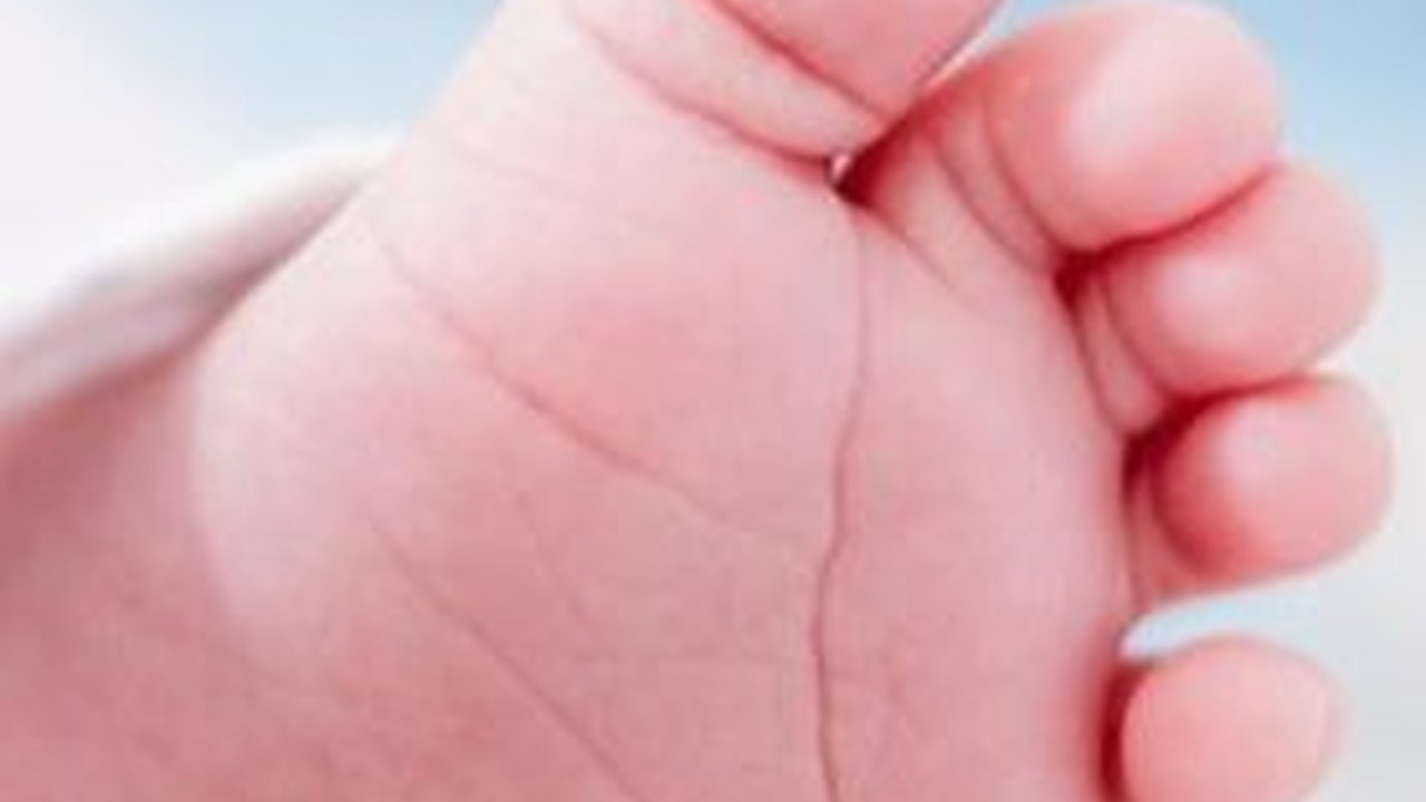 Fakta Penemuan Jasad Janin Bayi di Tumpukan Sampah, Kondisinya Mengenaskan
