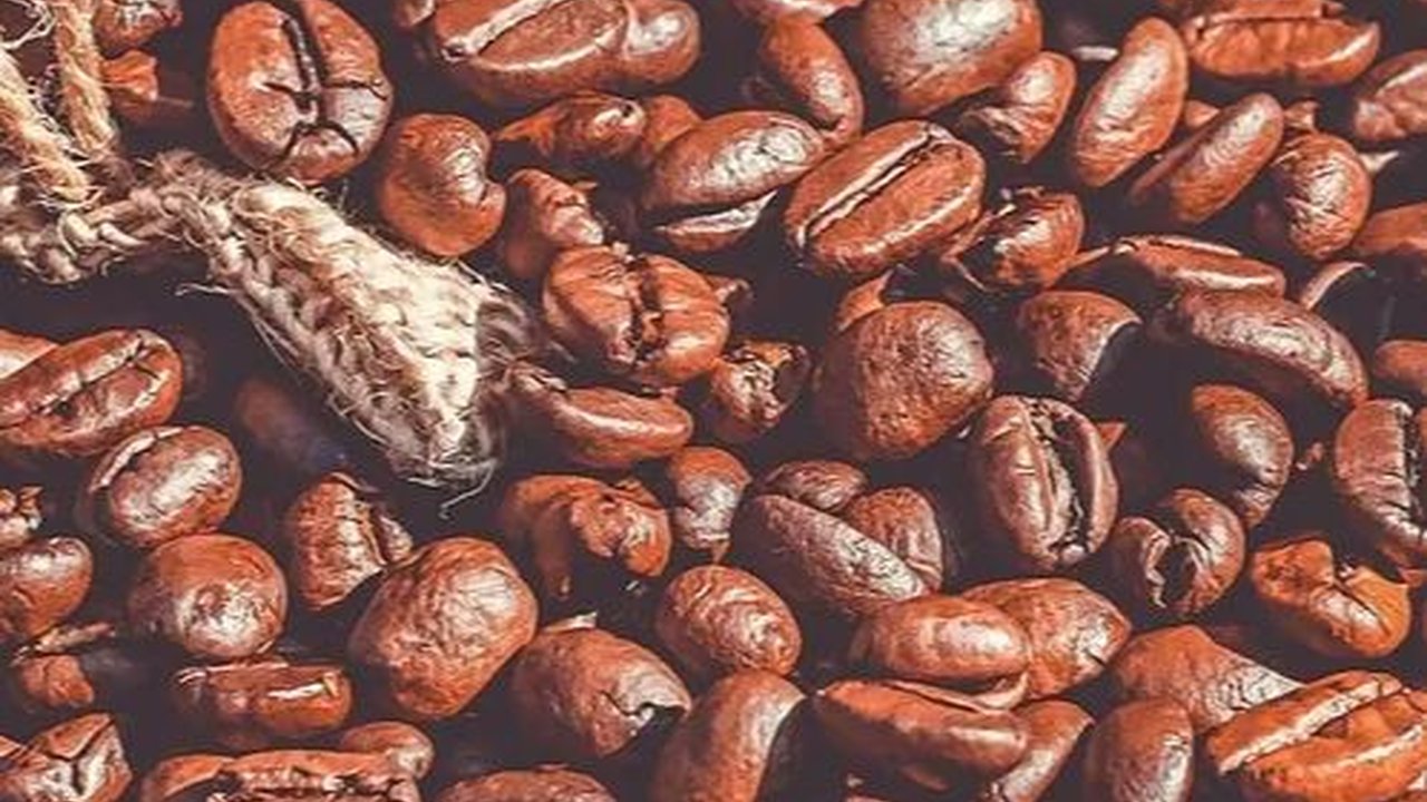 Kopi Priangan Merajai Pasaran Eropa