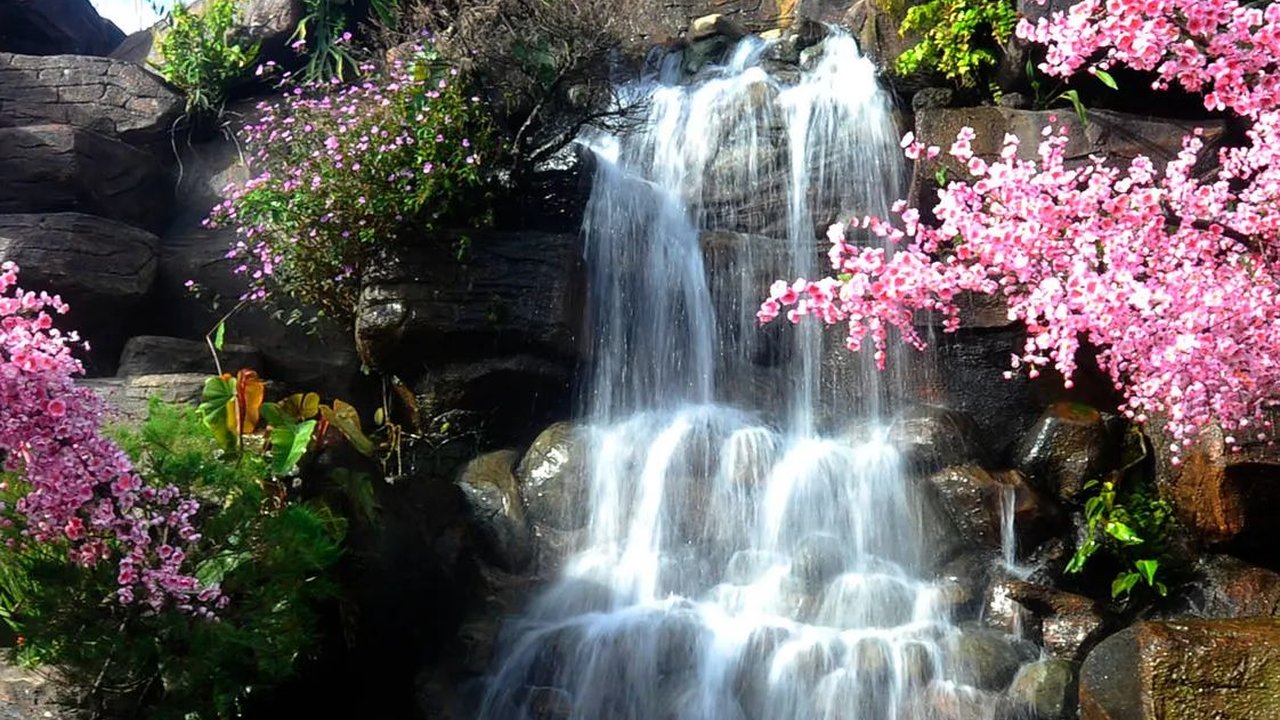 Anak Tiri Puncak Bogor
