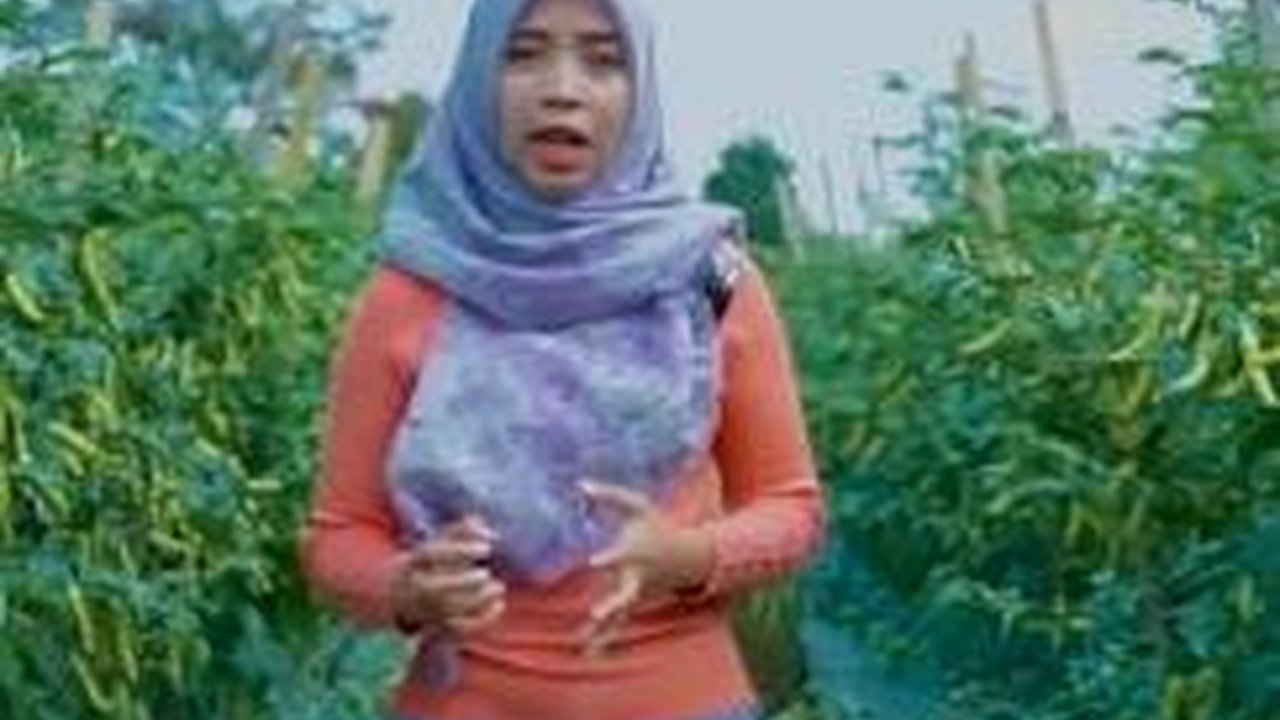 Kisah Inspiratif Wanita Asal Magelang Bertani Kaktus, Jatuh Bangun Berkali-Kali