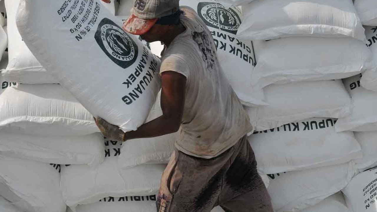 Mengenal Pemupukan Berimbang untuk Tingkatkan Produktivitas Pertanian