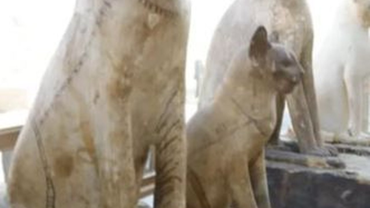 Langka, Mumi Dua Ekor Anak Singa Ditemukan untuk Pertama Kalinya di Mesir