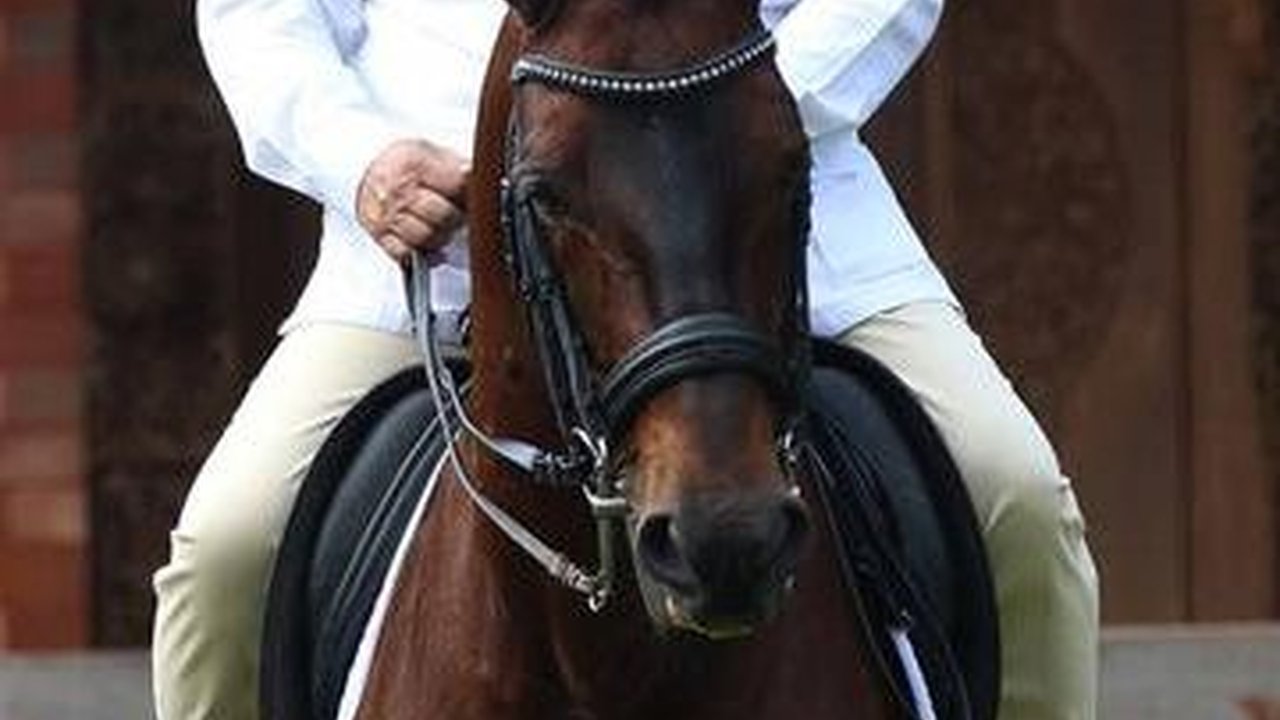 Elektabilitas Prabowo Tertinggi, PPP Sebut Cawapres Ganjar Jadi Kunci Menangkan 2024