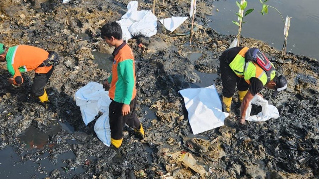 Usai Viral, Sampah Cemari Hutan Mangrove Angke Dibersihkan Polisi & Pemprov DKI