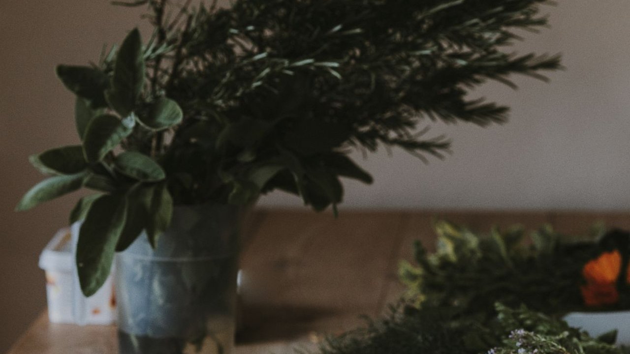 6 Rempah Aromatik dan Manfaatnya, Tak Hanya Sedapkan Masakan