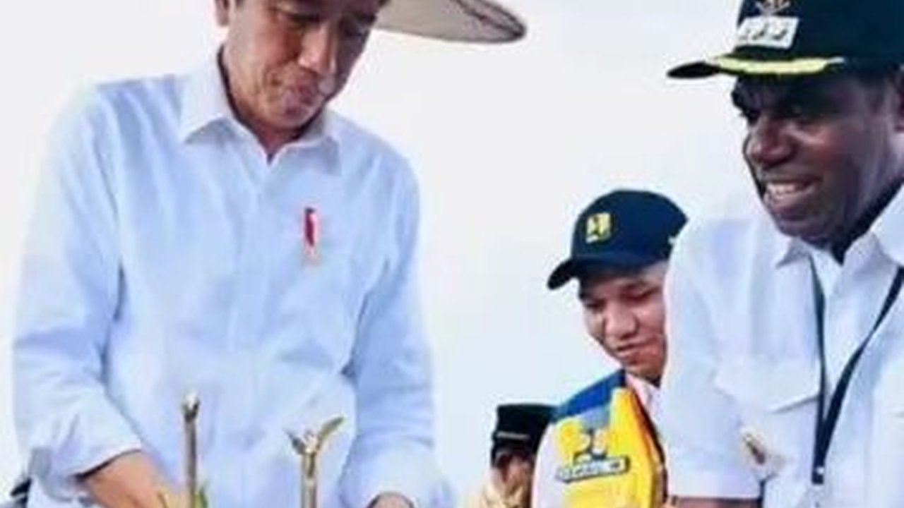Pembangunan Proyek Food Estate Tunggu Aturan Resmi Jokowi
