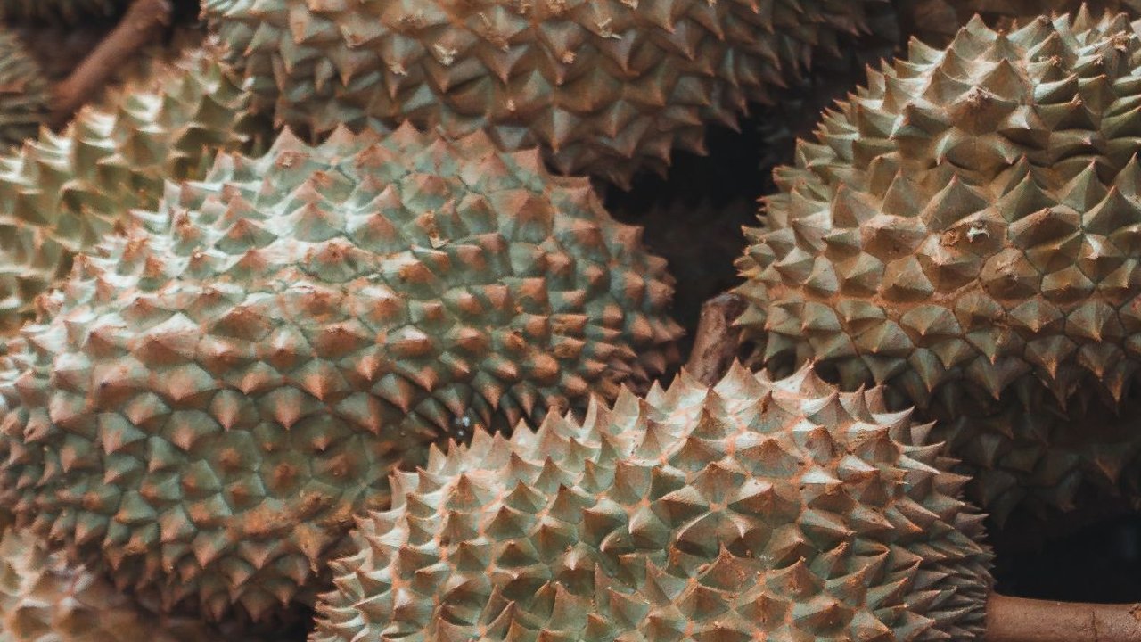 Resep Olahan Durian Jadi Dessert Manis yang Menggugah Selera