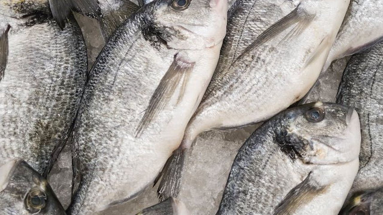 Bukan Jeruk Nipis, Pakai Ini Buat Hilangkan Bau Amis pada Ikan