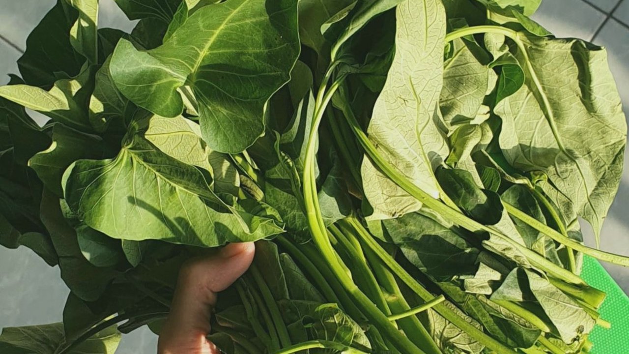 6 Olahan Kangkung Selain Tumis Praktis ala Rumahan, Ini Resepnya