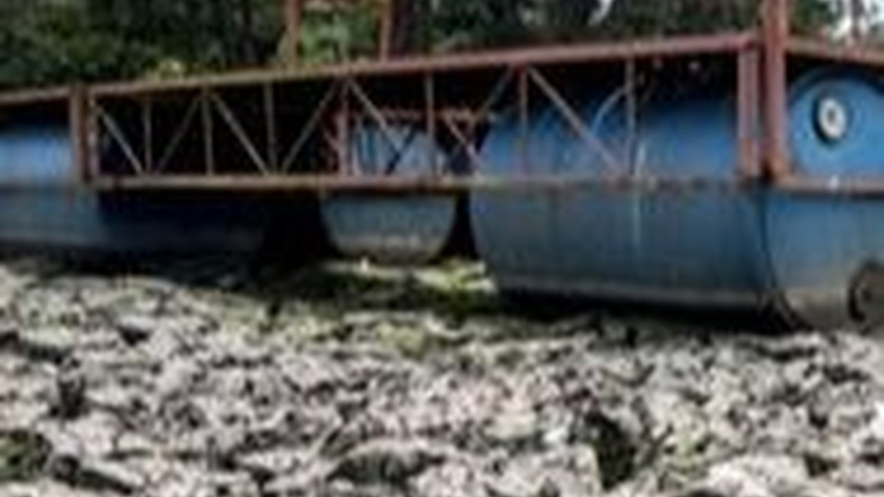 Puncak Ancaman El Nino Diprediksi pada Agustus-September