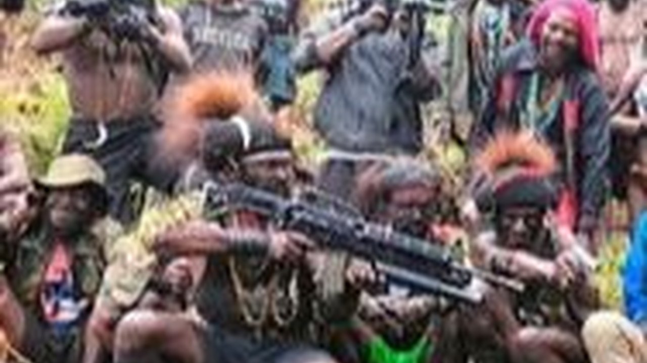 Usai Serang Koramil, Kini KKB di Papua Tengah Tembak Pesawat