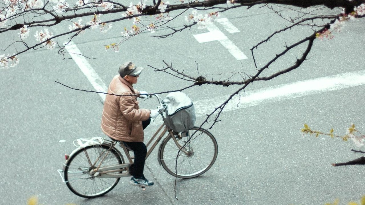 Mengenal 4 Pilar Ikigai, Filosofi Hidup 3000 Tahun dari Jepang dan Manfaatnya untuk Mental