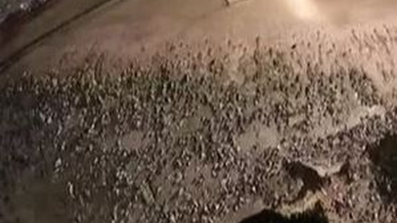 Benda Misterius Terdampar di Pantai Australia, Warga Diminta Menjauh