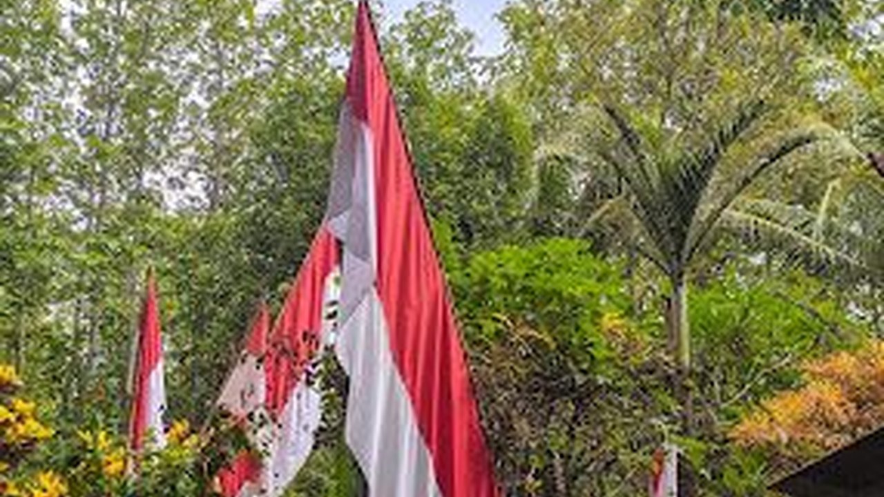Terkenal Sakral, Begini Potret Lokasi Ritual Malam 1 Suro di Hutan Alas Purwo Banyuwangi