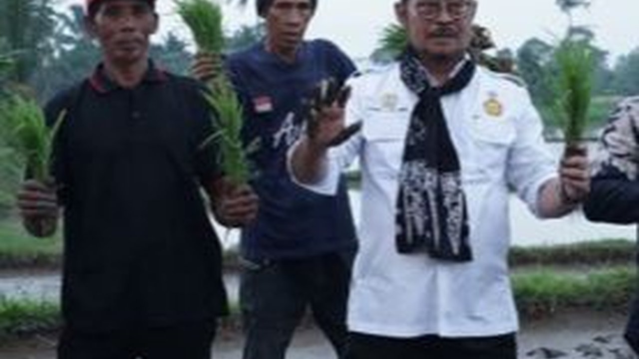 Jelang El Nino, Mentan Tanam Padi dan Pastikan Ketersediaan Beras Aman