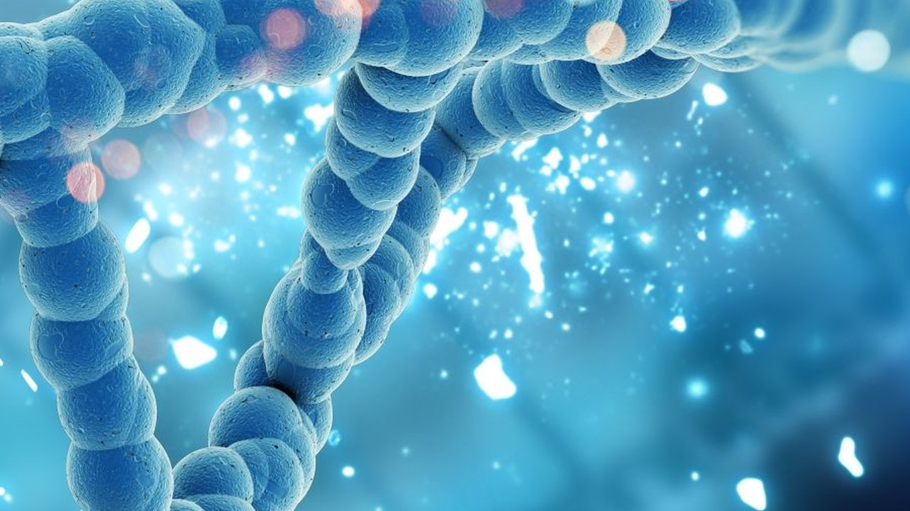 Fungsi Asam Nukleat dan Jenis-jenisnya, Pahami Penjelasannya