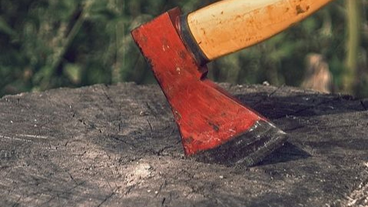 Fungsi Kapak Persegi Zaman Prasejarah, Alat Beburu hingga Status Sosial