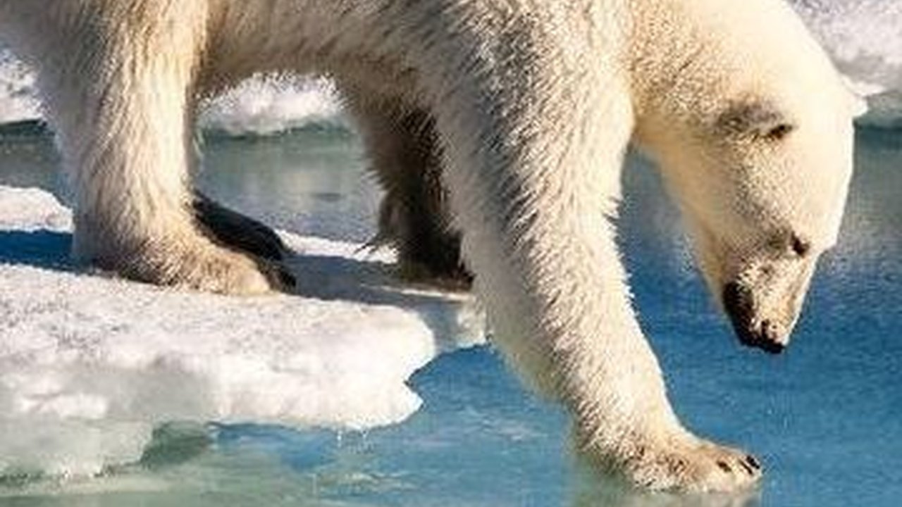 Apa yang Sebenarnya Ada di Bawah Lapisan Es Kutub?