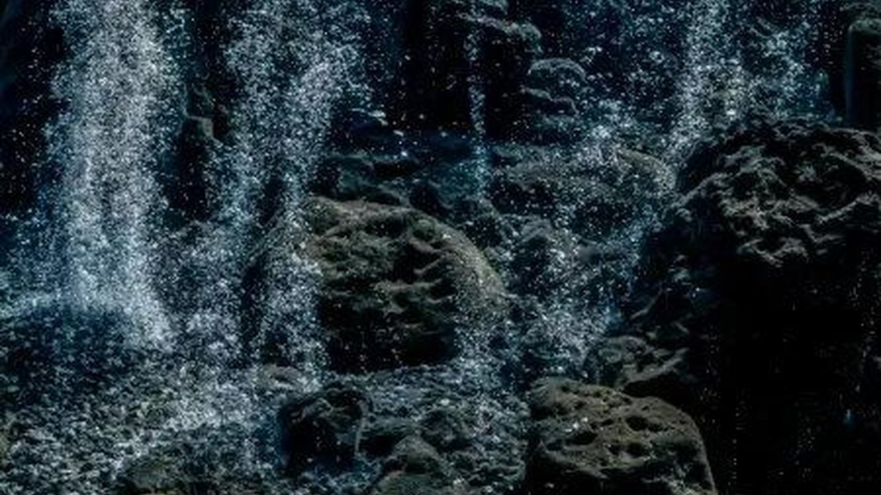 Ilmuwan Temukan Gunung Api Kuno Masih Aktif di Bawah Laut, Dipenuhi Telur Raksasa