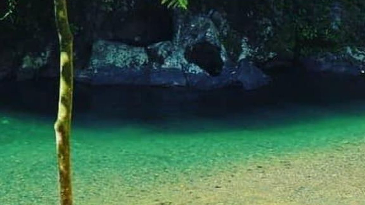 Masuk 75 Besar ADWI 2023, Intip Pesona Desa Perkebunan Bukit Lawang