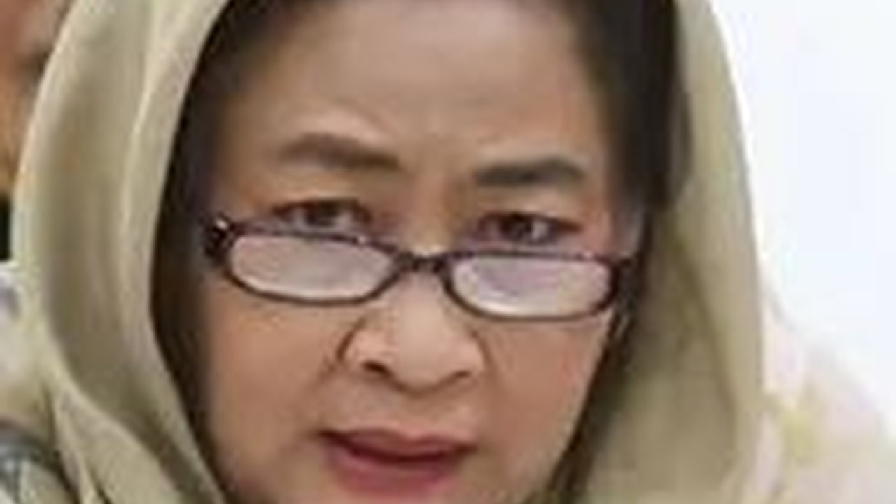 Badan Kehormatan DPRD DKI Tak Bisa Hukum Cinta Mega Jika Tak Ada Laporan