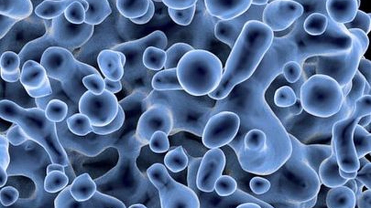 Biologi adalah Ilmu Tentang Alam, Ketahui Berbagai Manfaatnya