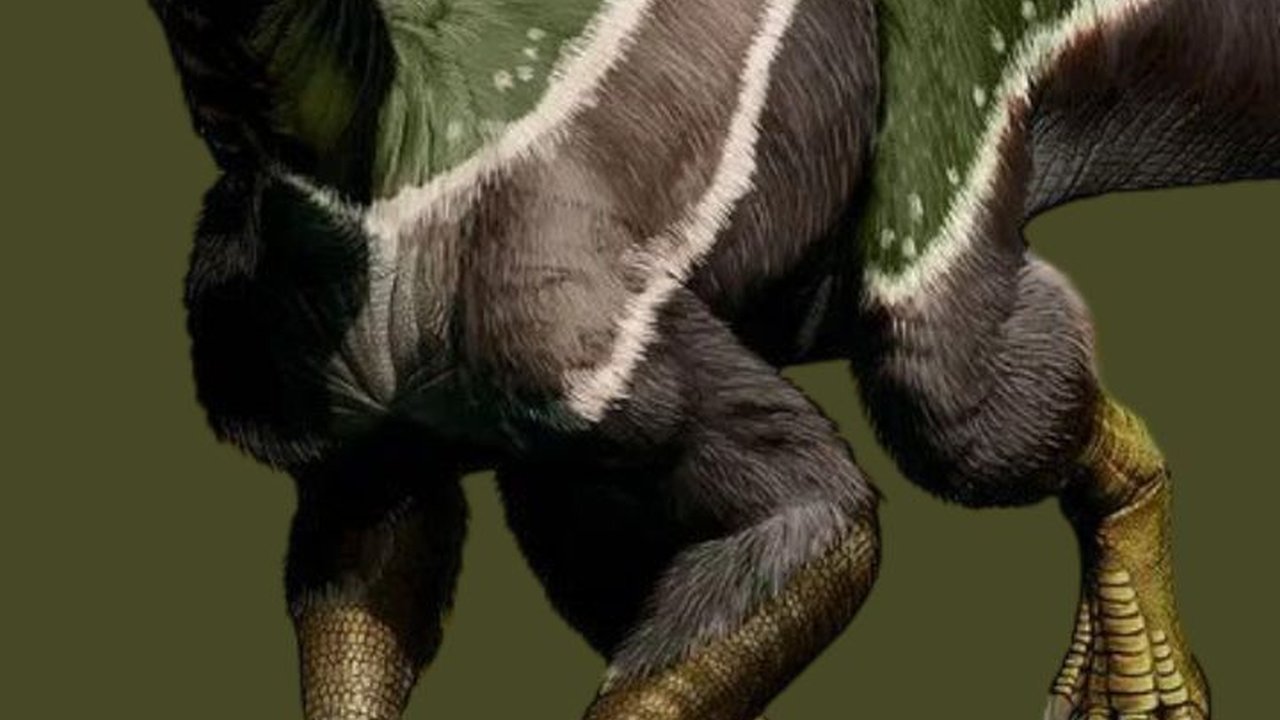 Penelitian Ini Ungkap Dinosaurus Ternyata Punya Bulu, Berikut Faktanya